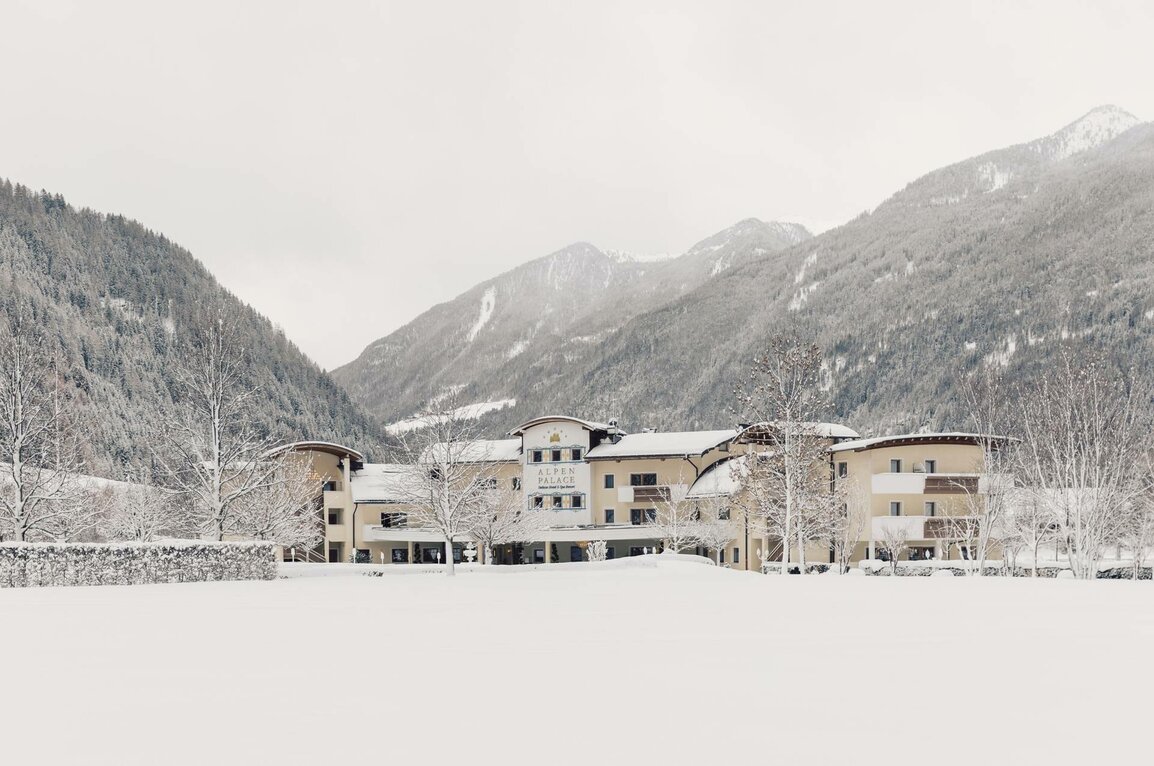 Alta cucina in Alto Adige - Gusto 5 stelle in Val Aurina